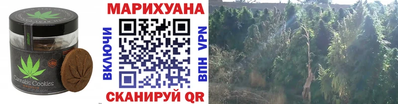 купить наркотик  Королёв  Печенье с ТГК конопля 
