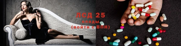 прущие крисы Верея