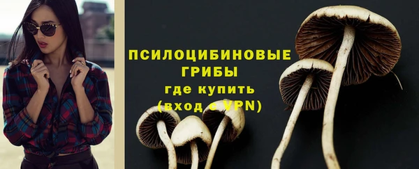 сатива Верхний Тагил