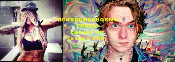сатива Верхнеуральск