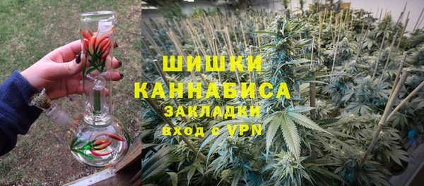сатива Верхний Тагил