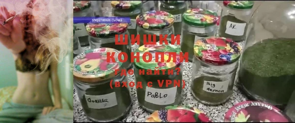 сатива Верхний Тагил