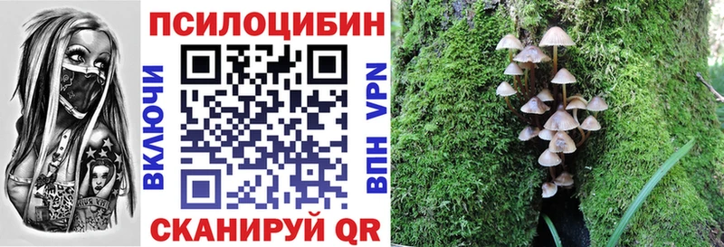 Псилоцибиновые грибы GOLDEN TEACHER Королёв